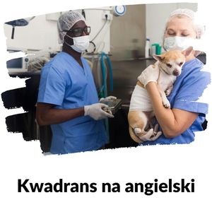 KNA: Lekcja 153 (u weterynarza), Szymon Marciniak