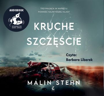Kruche szczęście audiobook, Malin Stehn