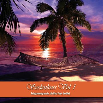 Seelenkuss Vol 1 audiobook, Various Artists