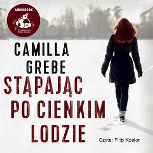 Stąpając po cienkim lodzie, Camilla Grebe
