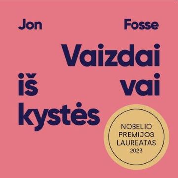 VAIZDAI IŠ VAIKYSTĖS audiobook, Jon Fosse