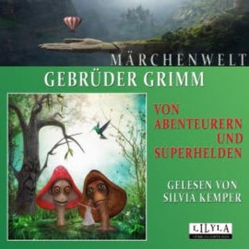 Von Abenteurern und Superhelden audiobook, Gebrüder Grimm