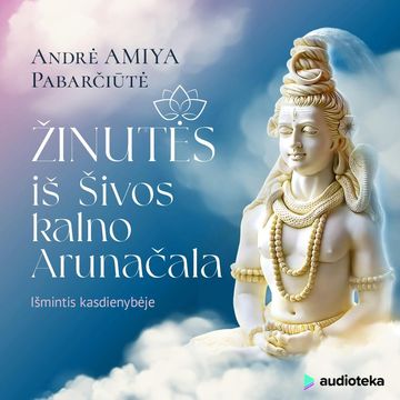 Žinutės iš Šivos Kalno Arunačala audiobook, Andrė Pabarčiūtė
