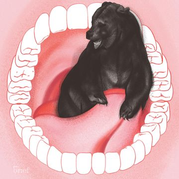 Brief #104 – Moda (n)a recykling, internet kwantowy i języki audiobook, Outride.rs