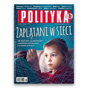 AudioPolityka Nr 48 z 27 listopada 2019 roku, Polityka