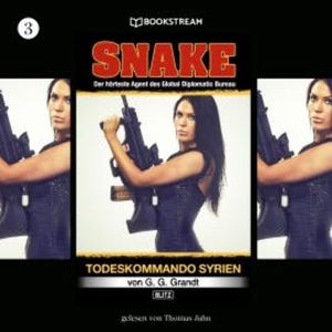 Snake, Folge 3: Todeskommando Syrien, G. G. Grandt