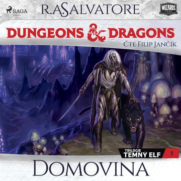 Temný elf 1: Domovina audiobook, R. A. Salvatore