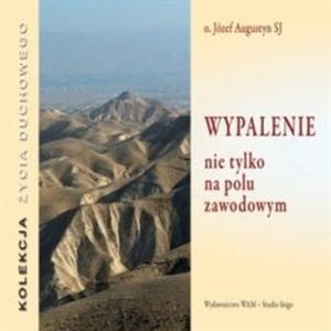 Wypalenie nie tylko na polu zawodowym, Józef Augustyn SJ