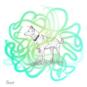 Brief #63 Reportaż z Nowej Kaledonii, zabójczy kratom i pies z neolitu, Outride.rs