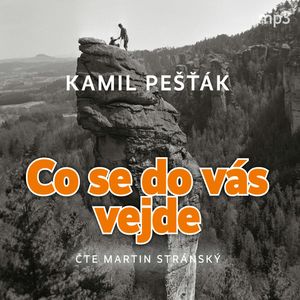 Co se do vás vejde, Kamil Pešťák