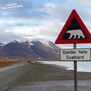 Norwegia kontra ekolodzy. Chodzi o metale ziem rzadkich, Mateusz Grzeszczuk