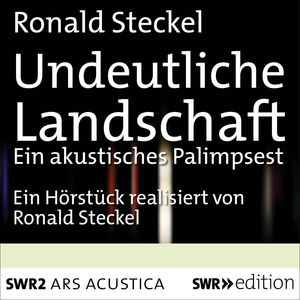 Undeutliche Landschaft, Ronald Steckel