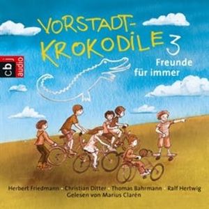 Vorstadtkrokodile 3, Diverse