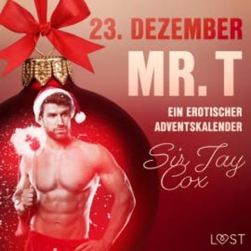 23. Dezember: Mr. T  – ein erotischer Adventskalender audiobook, Sir Jay Cox
