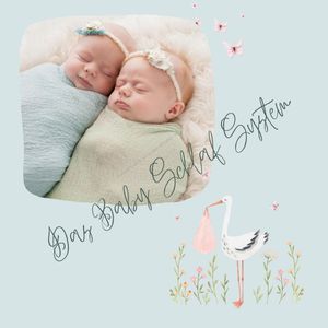 Das Baby Schlaf System, Das Baby Schlaf System