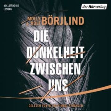 Die Dunkelheit zwischen uns audiobook, Molly Börjlind