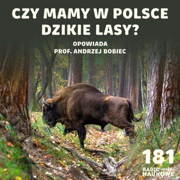 #181 Polskie lasy - czy da się w nich pogodzić ekologię z ekonomią? | prof. Andrzej Bobiec audiobook, Karolina Głowacka