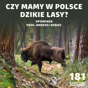 #181 Polskie lasy - czy da się w nich pogodzić ekologię z ekonomią? | prof. Andrzej Bobiec, Karolina Głowacka