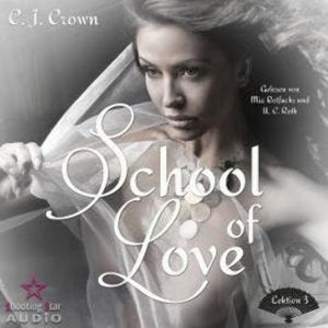 Lektion 3 - School of Love, Band 3 (ungekürzt), C. J. Crown, Hannah Siebern