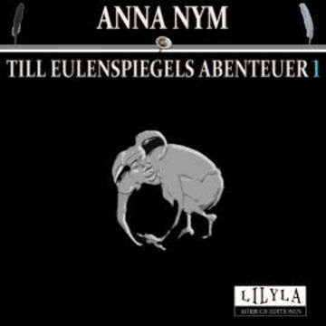 Till Eulenspiegels Abenteuer 1 audiobook, Anna Nym