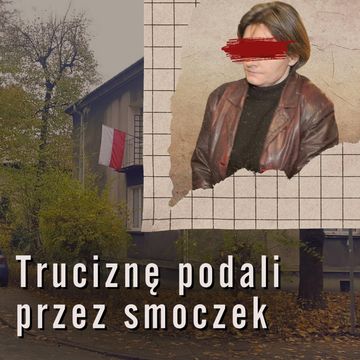 Wszyscy zostali zmanipulowani | Renata i Tomasz N. audiobook, Aleksandra Orłowska