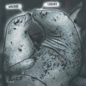 Brief #112 – Enty, planety i muzyka w czasach zarazy, Outride.rs