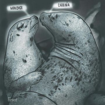 Brief #112 – Enty, planety i muzyka w czasach zarazy audiobook, Outride.rs