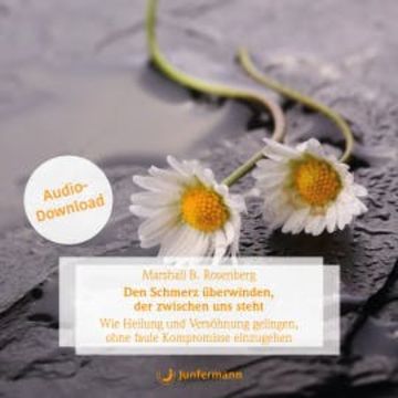 Den Schmerz überwinden, der zwischen uns steht audiobook, Marshall B. Rosenberg