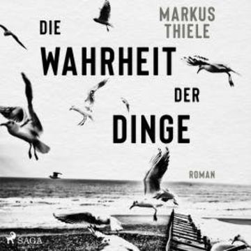 Die Wahrheit der Dinge audiobook, Markus Thiele