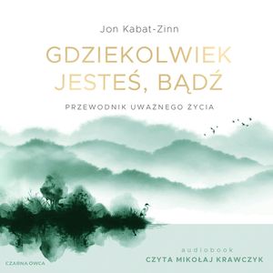 Gdziekolwiek jesteś, bądź, Jon Kabat-Zinn