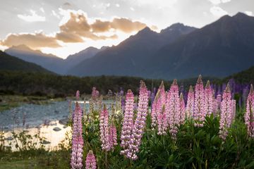 Kamil a Hanka: (Ne)tradiční práce na Novém Zélandu, těhotenství i přestavba dodávky audiobook, Matouš Vinš