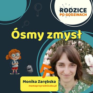 Ósmy zmysł - integracja sensoryczna a rozwój dziecka audiobook, Maja Strzałkowska