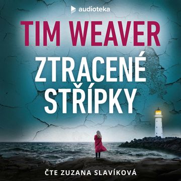 Ztracené střípky audiobook, Tim Weaver