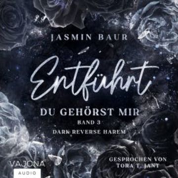 Du gehörst mir audiobook, Jasmin Baur