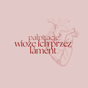Odcinek #11: Wiozę ich przez lament | epizod z serii Wydział N, Magdalena Sobota