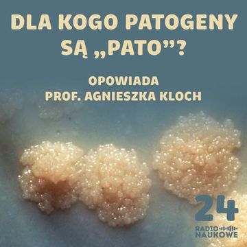 #24 Ewolucyjny wyścig zbrojeń. O potyczkach patogenów z ich ofiarami (w tym nami) | dr Agnieszka Kloch audiobook, Karolina Głowacka