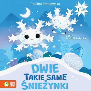 Dwie takie same śnieżynki audiobook, Paulina Płatkowska