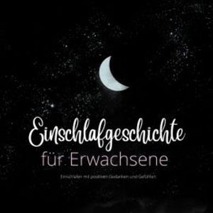 Einschlafgeschichte für Erwachsene, Patrick Lynen