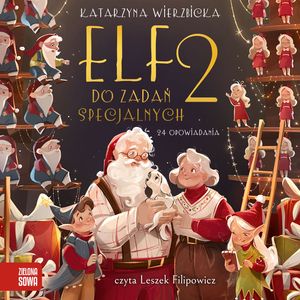 Elf do zadań specjalnych. Tom 2, Katarzyna Wierzbicka