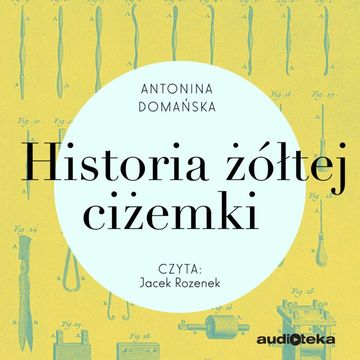 Historia żółtej ciżemki audiobook, Antonina Domańska