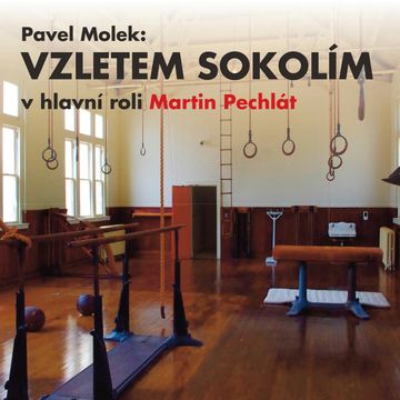 Pavel Molek: Vzletem sokolím audiobook, Pavel Molek