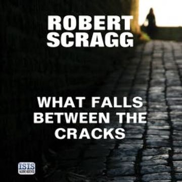 What Falls Between the Cracks audiobook, Robert Scragg