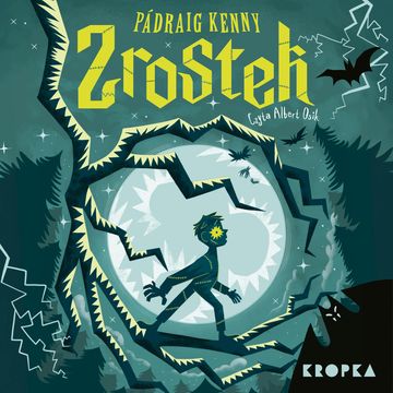 Zrostek audiobook, Kenny Pádraig