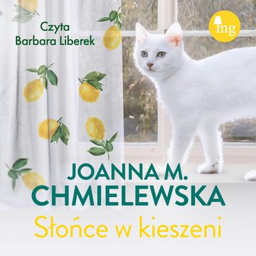 Słońce w kieszeni audiobook, Joanna M. Chmielewska
