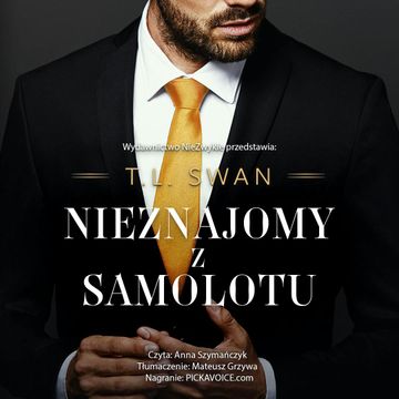 Nieznajomy z samolotu audiobook, T.L. Swan