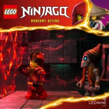 Folgen 247-248: Das Schwert audiobook, N.N.