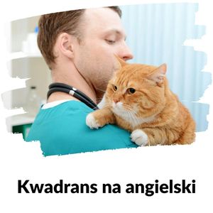 KNA: Lekcja 154 (powtórka ze zwierząt domowych), Szymon Marciniak