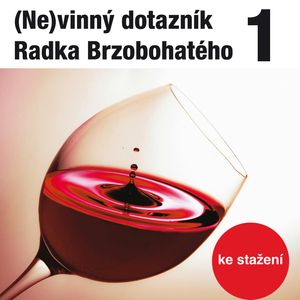(Ne)vinný dotazník Radka Brzobohatého 1., Radoslav Brzobohatý