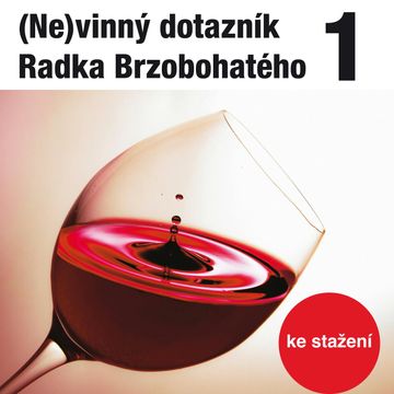 (Ne)vinný dotazník Radka Brzobohatého 1. audiobook, Radoslav Brzobohatý