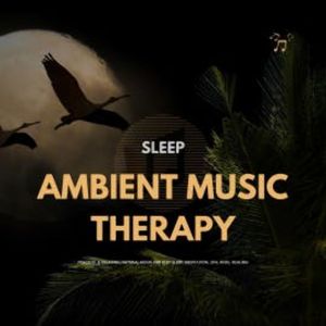 SLEEP: Ambient Music Therapy, The Sleep Sounds Academy